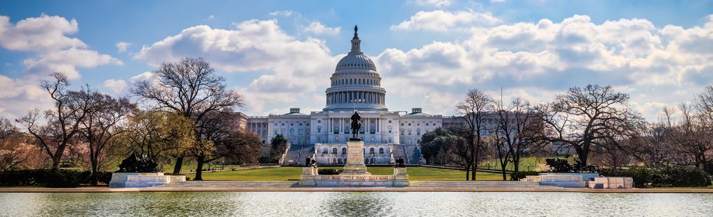 The US Capital building, Rosanne Bostonian