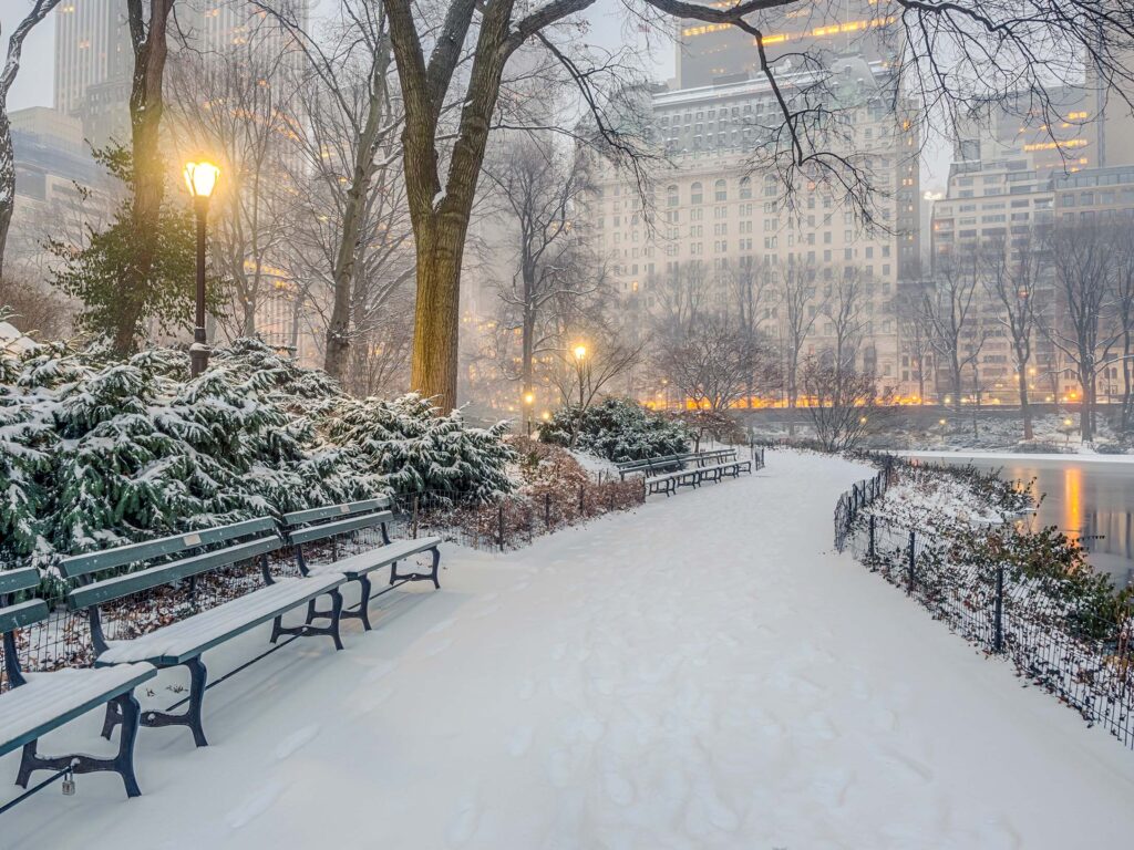 Central Park in the snow